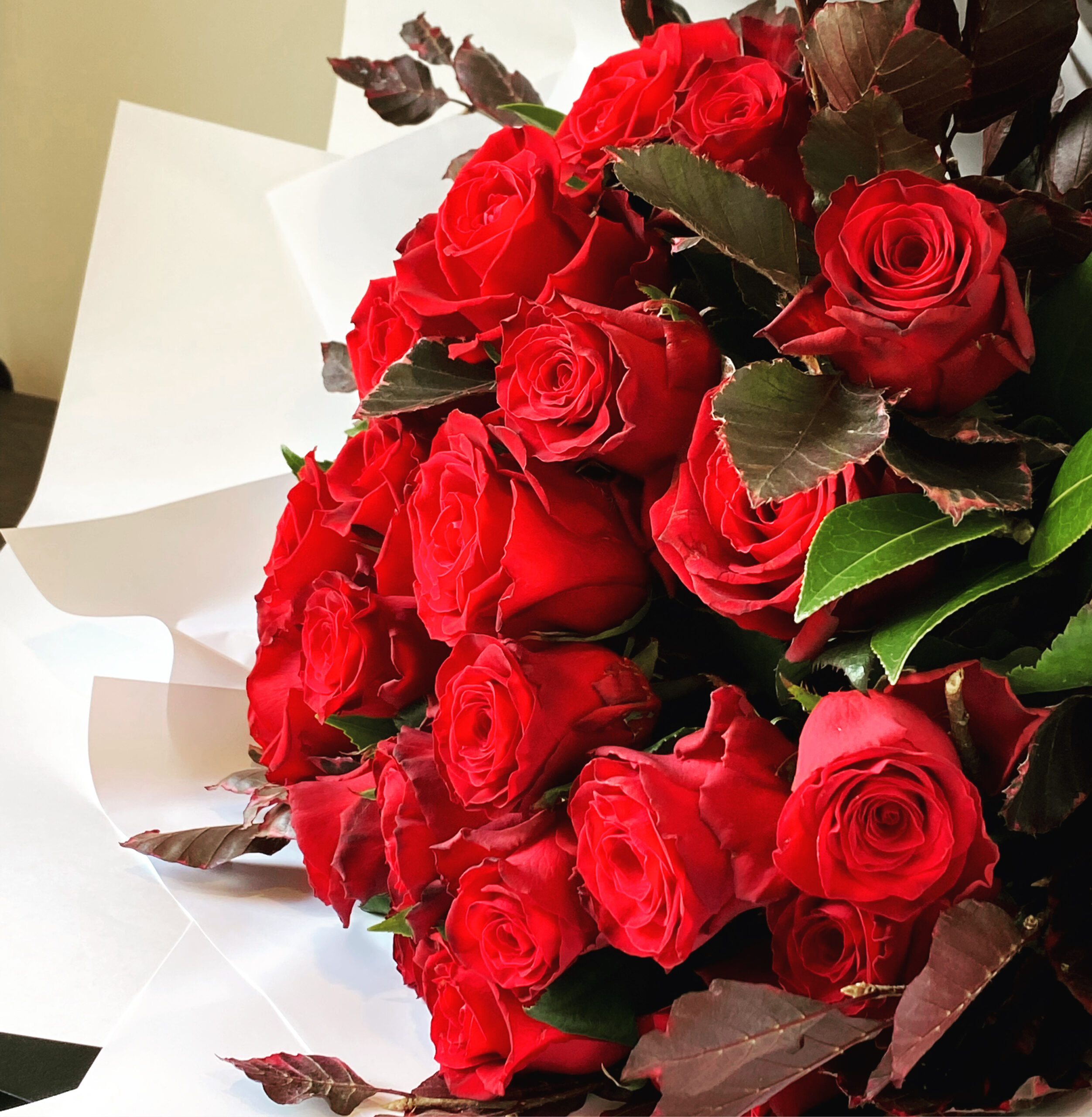 24 Long Stem Roses with Foliage $385