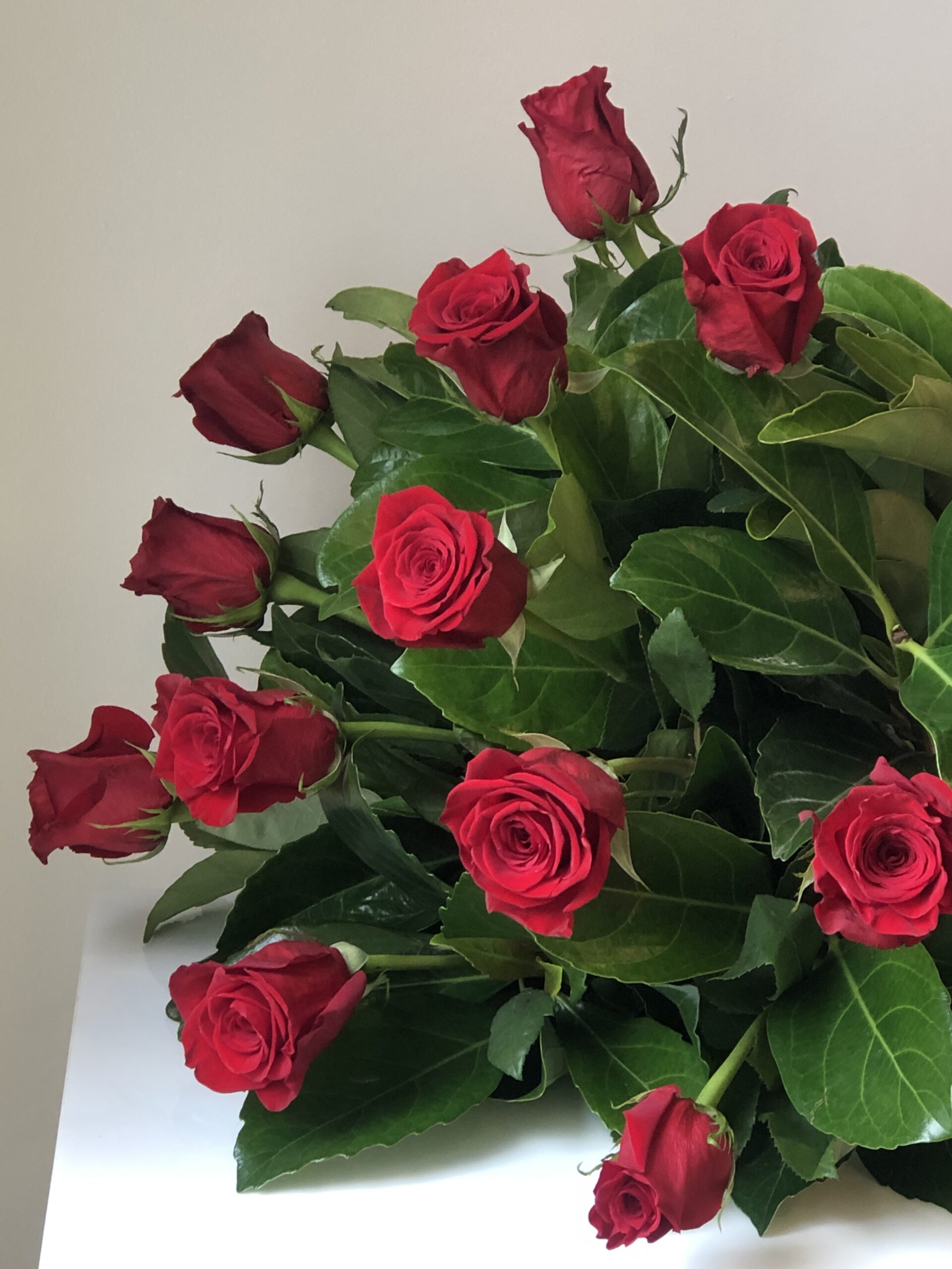 12 Long Stem Lockyer Valley grown Roses and Foliage Signature wrap $176