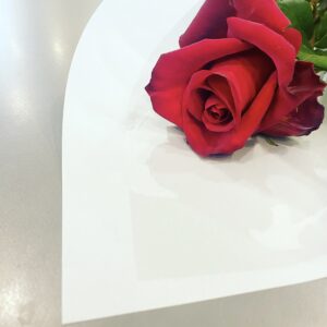 Single Rose $22